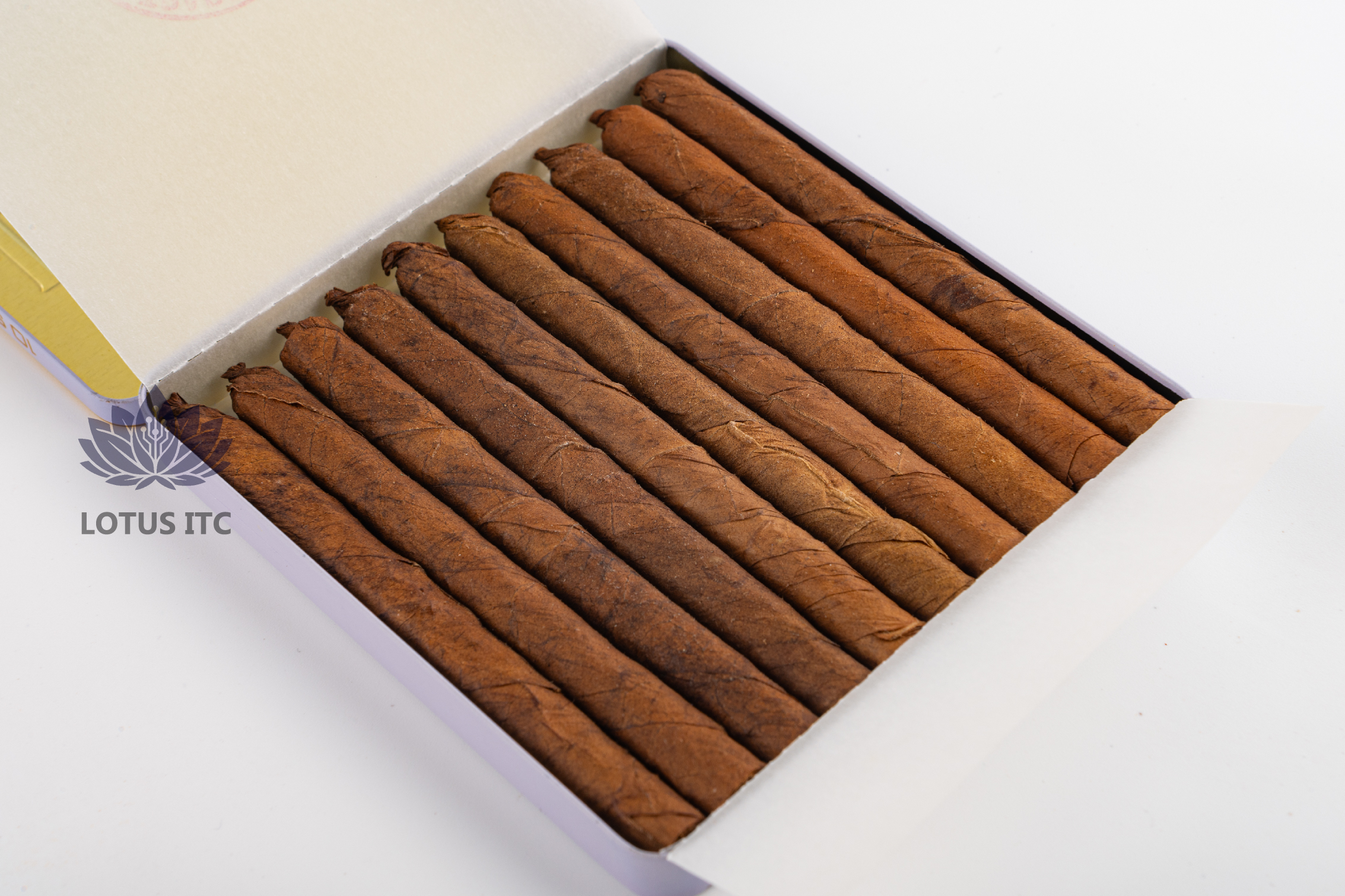 Cigar LOTUS MINI NO.2 (Hộp sắt 10 điếu)